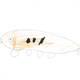 Illustration for article titled These Kids Drawings Are The Best Future Cars Yet